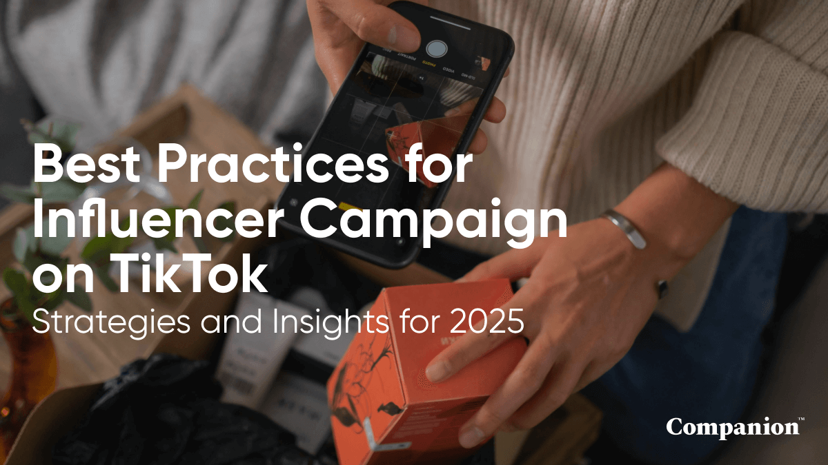 Best Practices for Influencer Campaign on TikTok